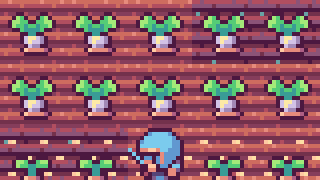 Turnips in rows on the farm, the player tending them